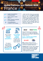 Online platforms and platform work: France