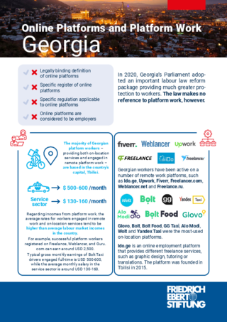 Online platforms and platform work: Georgia