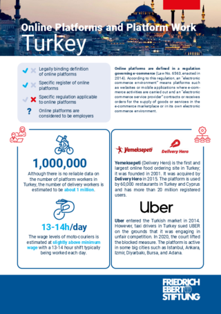 Online platforms and platform work: Turkey